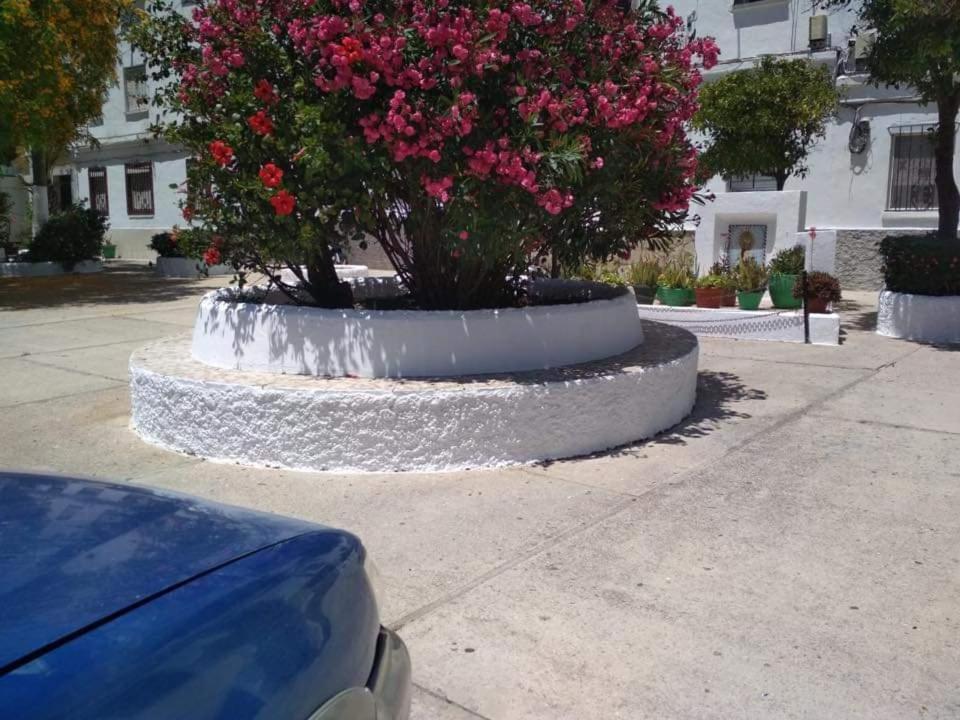 Apartmán Vegandi Barbate Exteriér fotografie